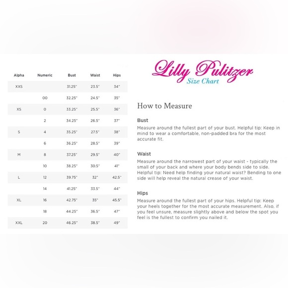 Lilly Pulitzer Cathy Flamingo Pink Don't Give a Cluck Print‎ Shift Dress. - Picture 14 of 14